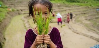 Nepal'de Ulusal Çeltik Günü Kutlandı