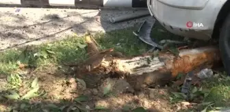 Zeytinburnu'nda anne ve oğlu feci kazadan kıl payı kurtuldu