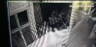 Ayı, evin balkonundan içeri girip çeviz ve reçelleri yedi