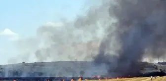 Edirne'de 360 Dönümlük Tarlada Yangın Çıktı