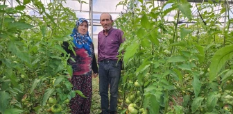 Konya'da Hibe Destekli Sera İşletmesiyle Geçim Sağlayan Çift