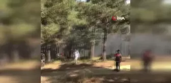 Sultangazi'de kent ormanında yangın çıktı
