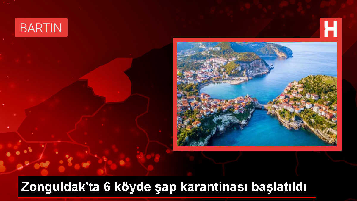 Zonguldak'ta 6 köye şap hastalığı kısıtlaması