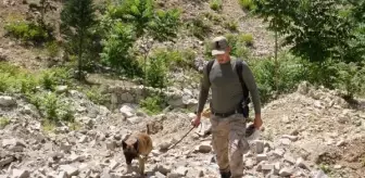 Isparta'da kaybolan emekli Halis Şimşek'i arama çalışmaları devam ediyor