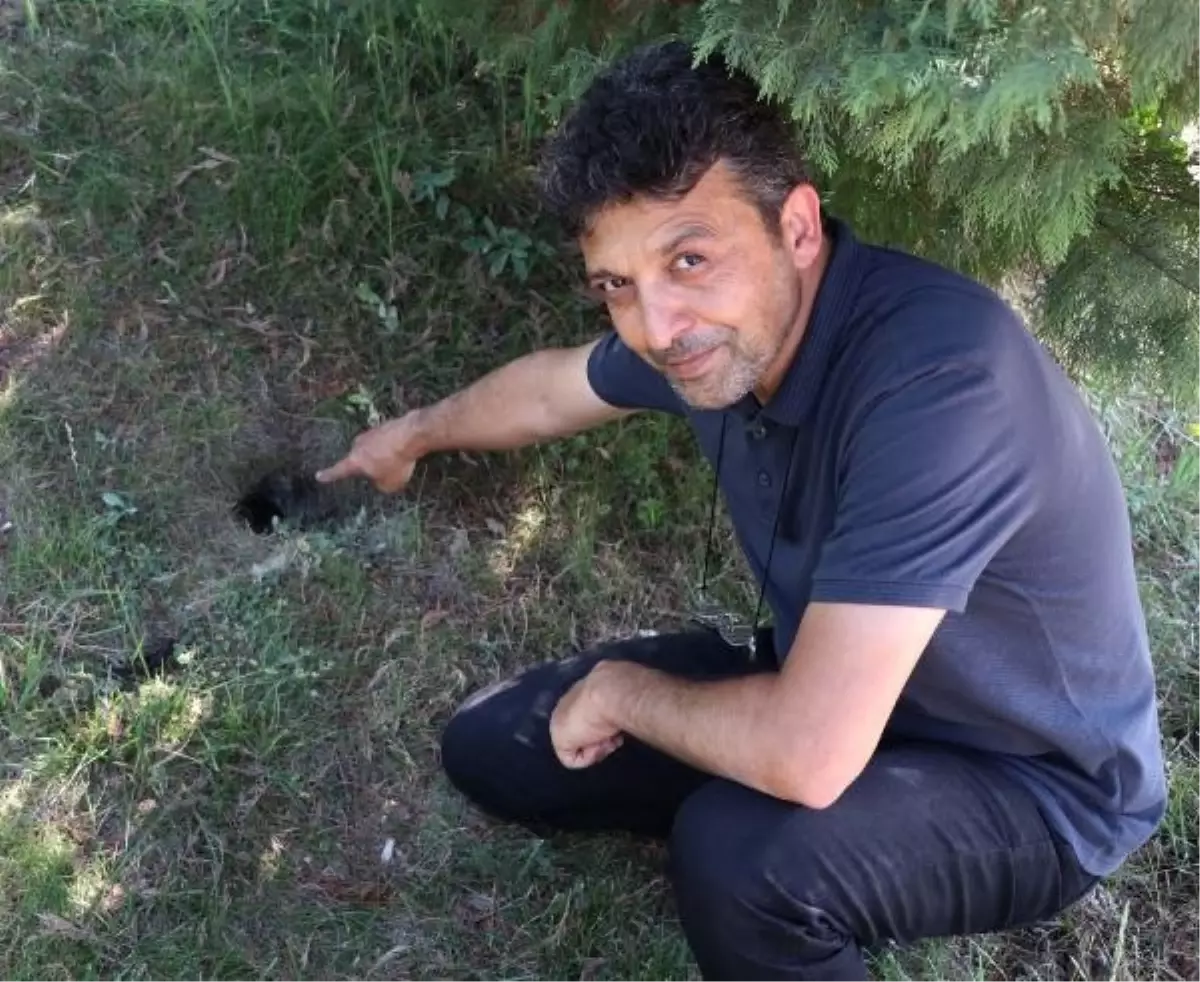 ERÜ'nün sembolü gelengilerin 2021'de 20 bin olan sayısı 15'e düştü