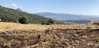 Giresun'da Buğday Tarlasında Yangın: Ekinler Zarar Gördü