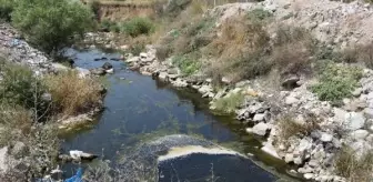 Tahtalı Çayı'na Dökülen Çöpler Doğa Kirliliğine Neden Oluyor