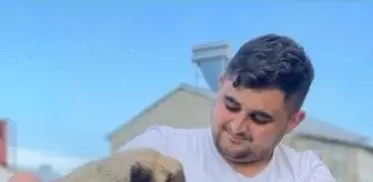 Eski Ağrı Belediye Başkanı Savcı Sayan'ın yeğeni Ali Sayan'ın cenazesi toprağa verildi
