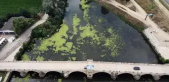 Tunca Nehri'nde Su Seviyesi Düşüyor ve Kirlilik Artıyor