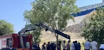 İstanbul Ümraniye'de viyadüğün altındaki derede erkek cesedi bulundu