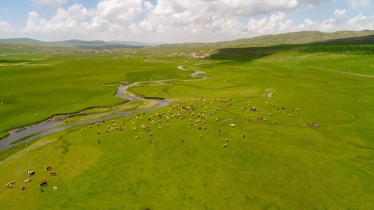 Ardahan'daki içi su dolu menderesler doğaya renk katıyor