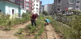 AtaTohum'da yazlık fideler toprakla buluştu