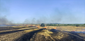 Edirne Keşan'da Buğday Ekili Tarlalarda Yangın