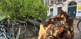 Hollanda'da etkili olan fırtınada aracının üzerine ağaç devrilen kişi öldü