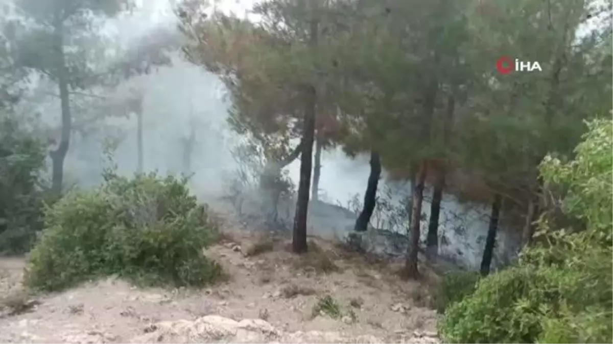 Osmaniye'de 1 dönüm kızıl çam ormanı yandı