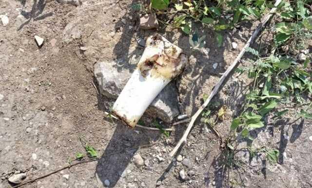 Otomobilin Tavanına Kemik Atıldı: 25 Bin Liralık Hasar Oluştu