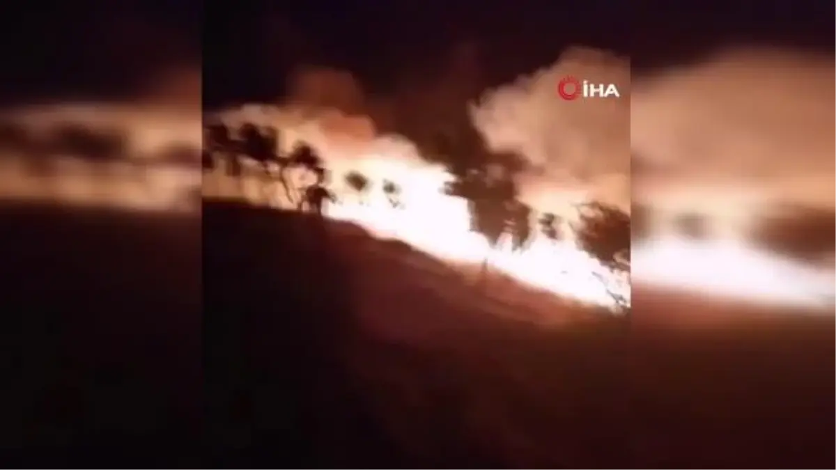 Siirt'te fıstık bahçesinde çıkan yangın ormanlık alana sıçradı