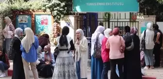 Türkiye ve Mısır'ın kültürel ilişkileri zirveye ulaştı