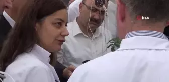 Volkanik cüruf kullanılarak domates yetiştirilen serada ilk hasat yapıldı