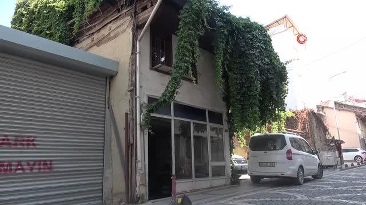 36 yıllık terzilere, 20 yıllık sarmaşık eşlik ediyor