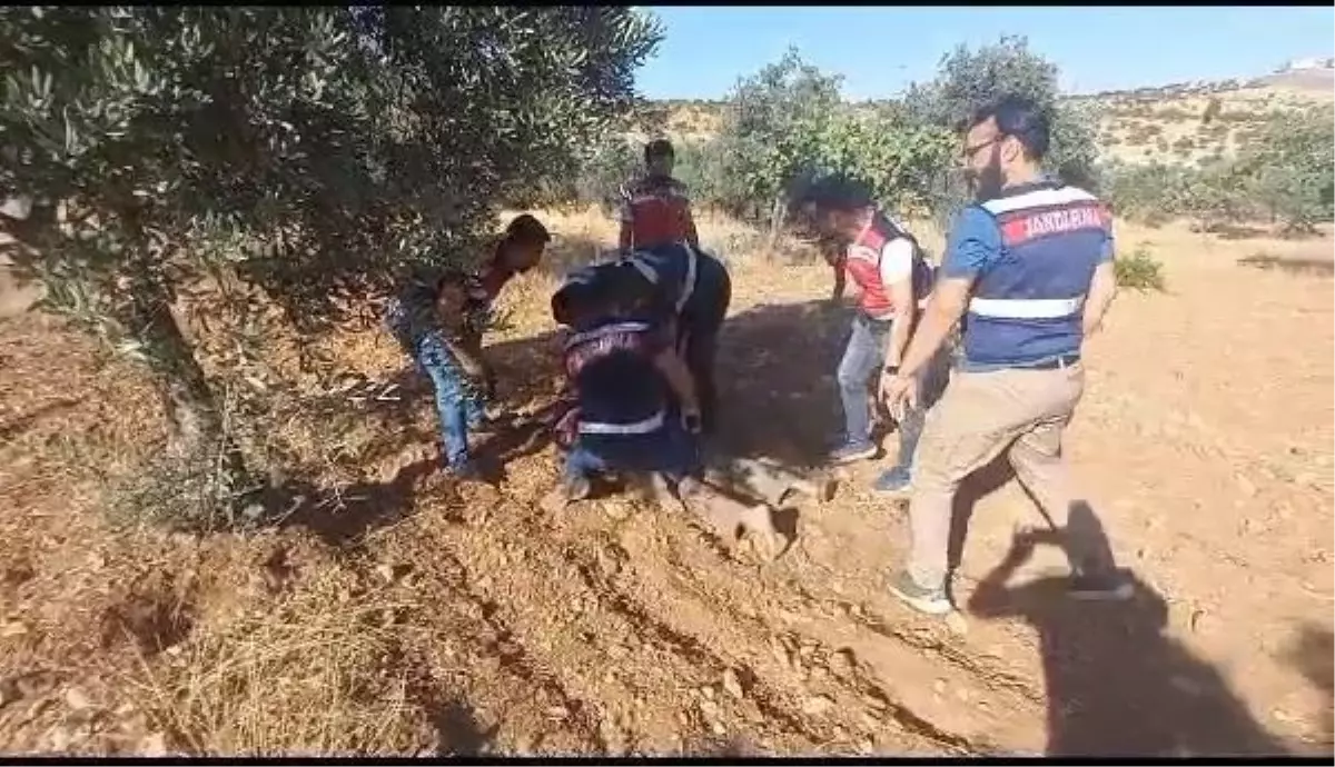 Bozova'da silahlı kavga şüphelisi yakalandı