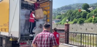 Gurbetçilerin depremzedeler için gönderdiği yardım tırı Zonguldak'a ulaştı