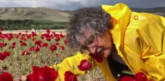 Sanatçı profesörden 'Bir Bitki Bir Selfie: Gelincikler' performansı