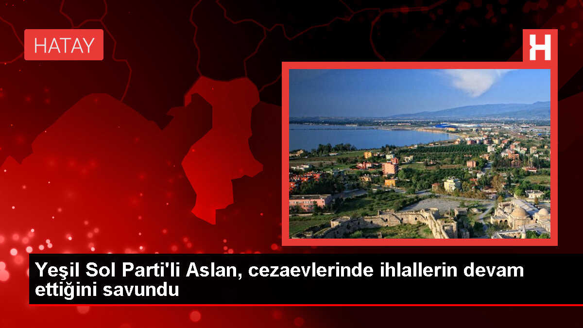 Yeşil Sol Parti Milletvekili Nevroz Uysal Aslan: Cezaevlerinde hak ihlalleri devam ediyor