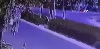 Yolun karşısına geçen kadına otomobil çarpıp kaçtı