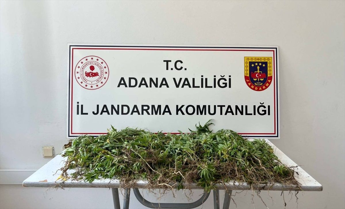 Adana'da 2 Bin 55 Kök Hint Keneviri Ele Geçirildi, 3 Şüpheli Yakalandı