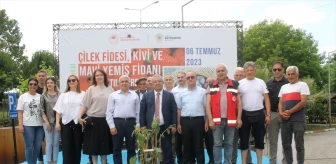 Samsun Büyükşehir Belediyesi Tarımsal Hizmetler Daire Başkanlığından Üreticilere Kivi Fidanı Dağıtımı