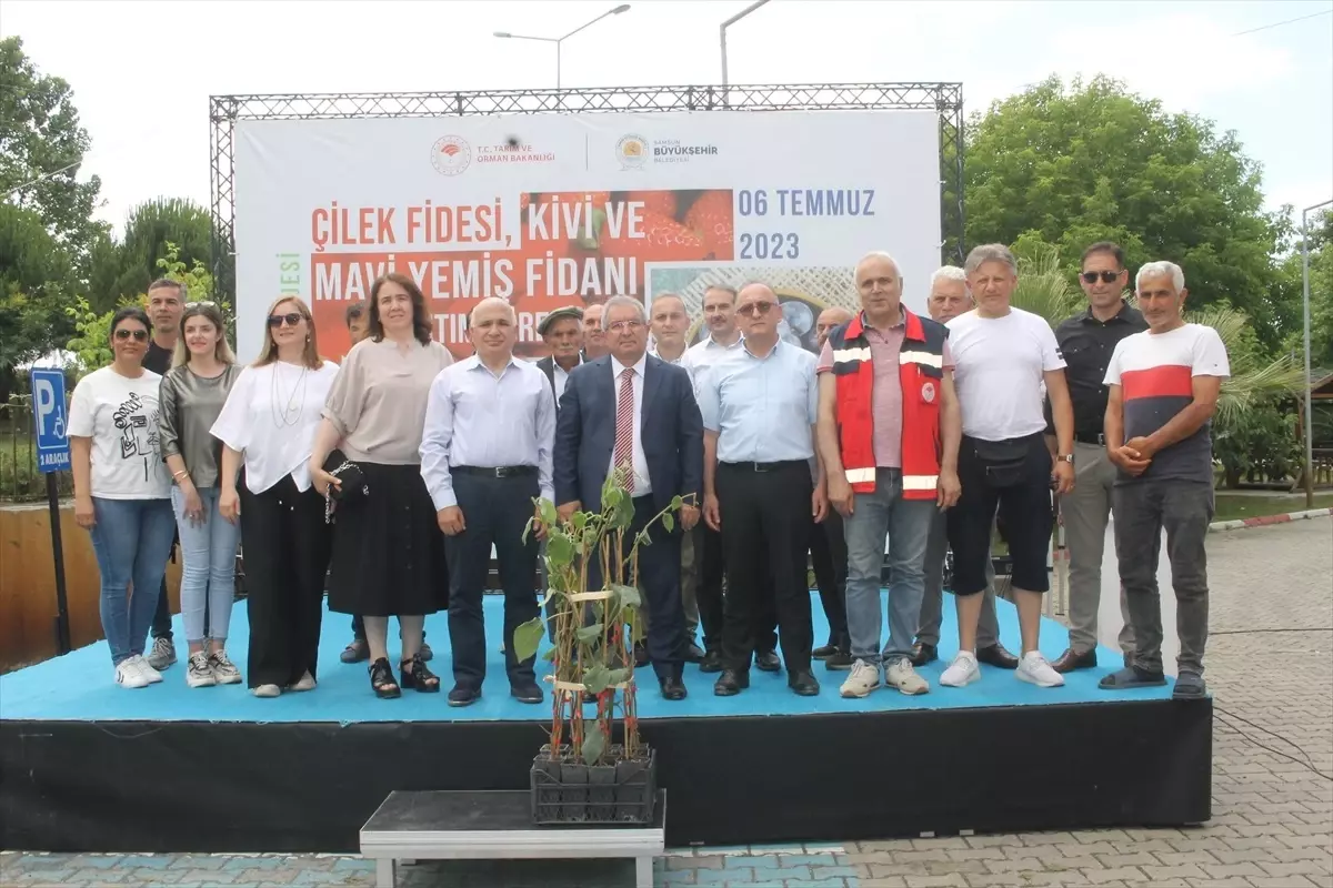 Samsun Büyükşehir Belediyesi Tarımsal Hizmetler Daire Başkanlığından Üreticilere Kivi Fidanı Dağıtımı