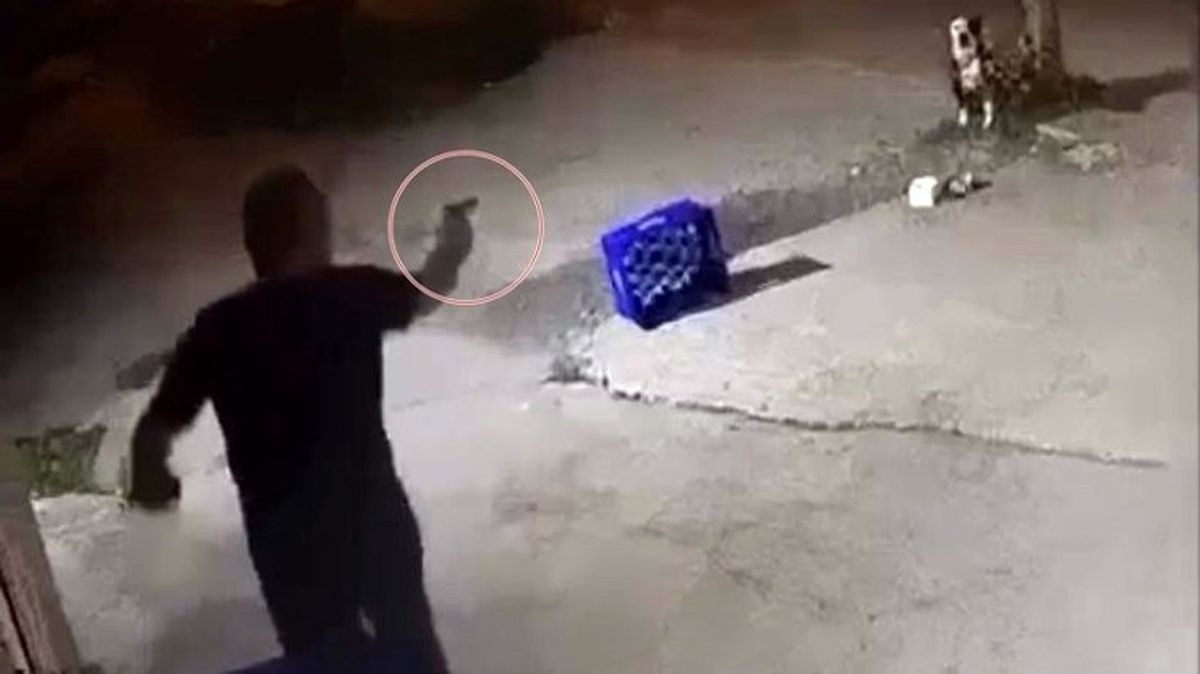 Dehşete düşüren görüntü! Tartıştığı mekan sahibinin ağaca bağlı köpeğine bir şarjör mermi sıktı