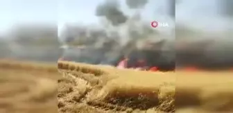 Diyarbakır'da yaklaşık 200 dönüm ekili arazi küle döndü