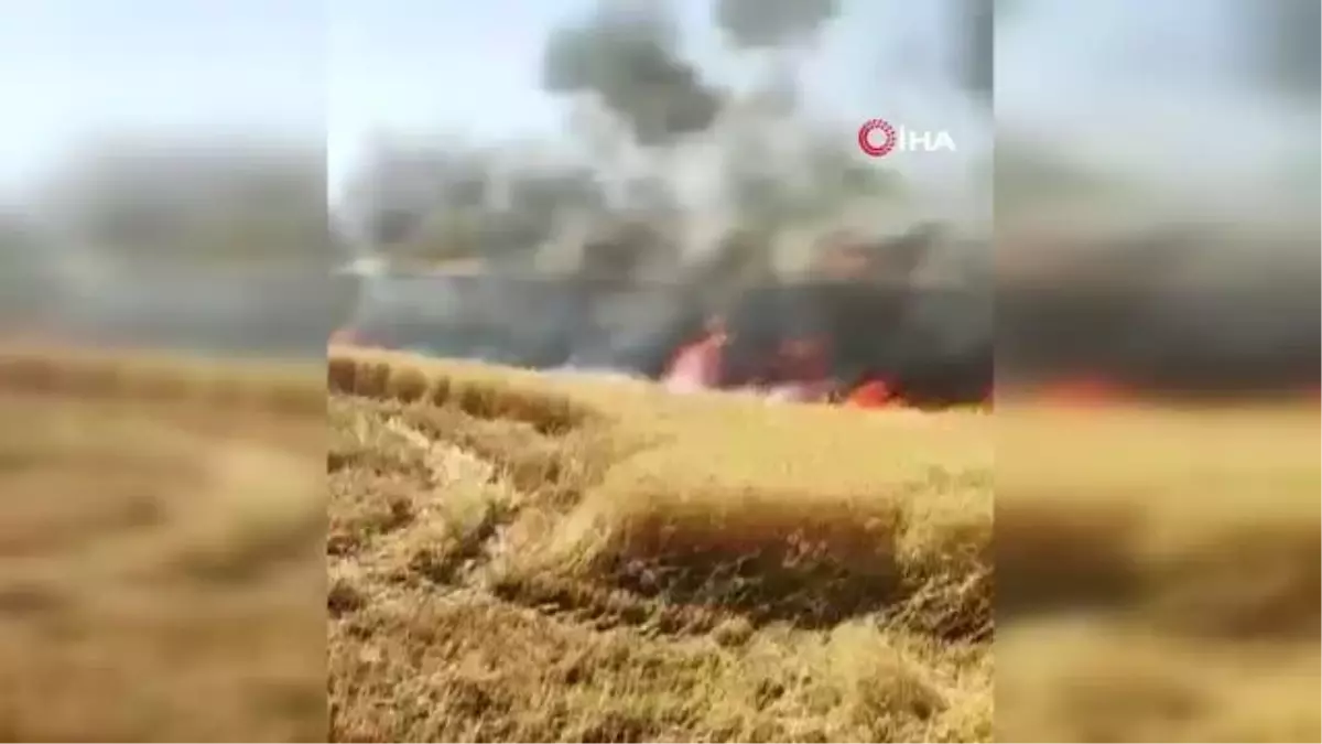 Diyarbakır'da yaklaşık 200 dönüm ekili arazi küle döndü