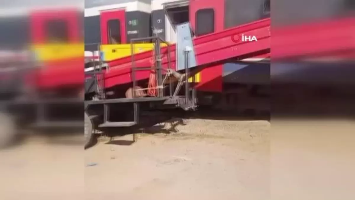 İzmir'de traktör trene çarptı: 1'i ağır 4 yaralı
