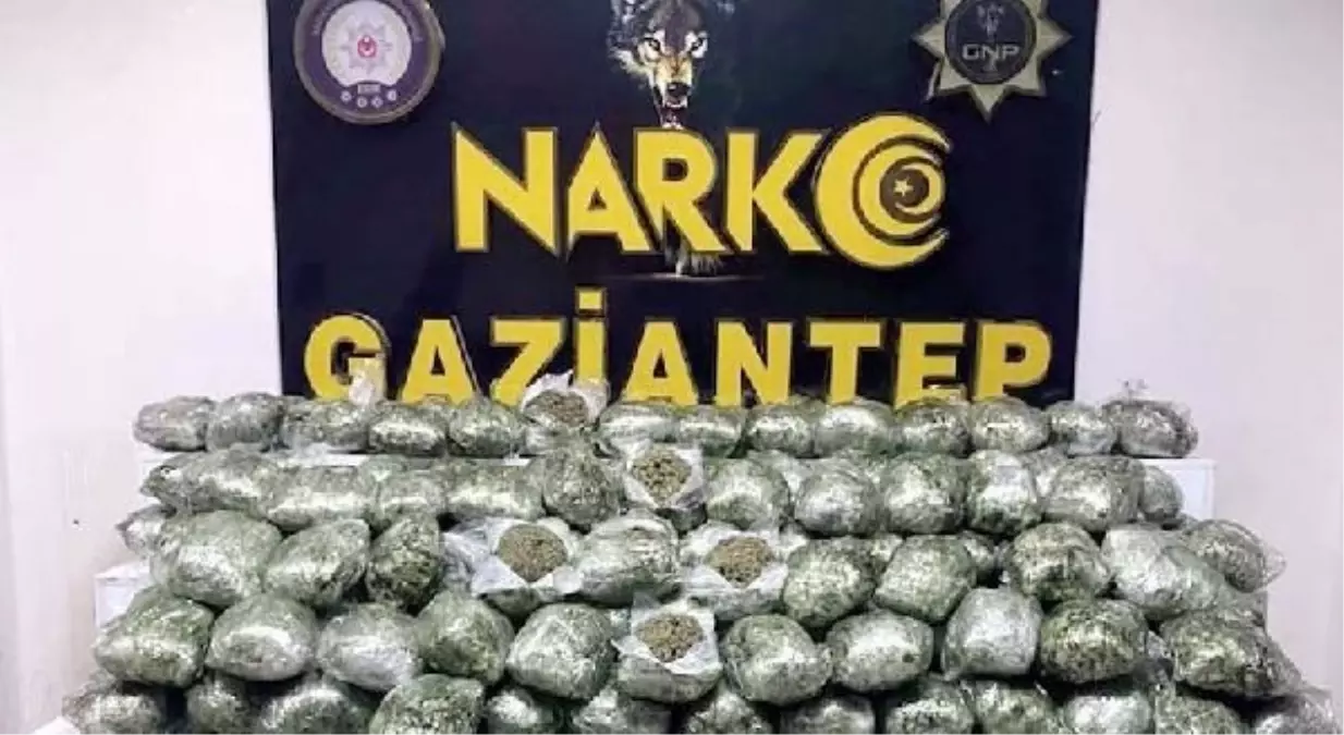 Gaziantep'te 80 Kilo Skunk Ele Geçirildi, 4 Şüpheli Gözaltına Alındı