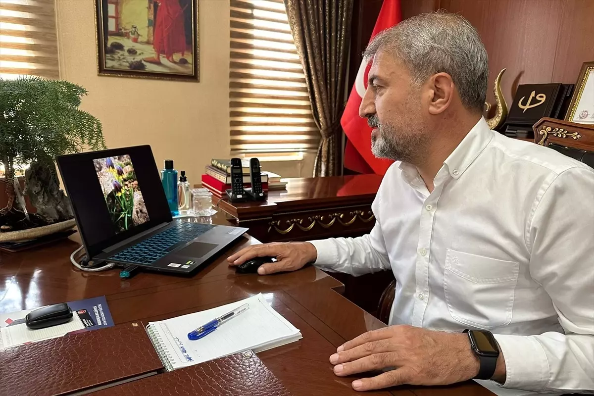 Karakoçan Belediyesi, Ters Laleyi Logosunda Kullanacak