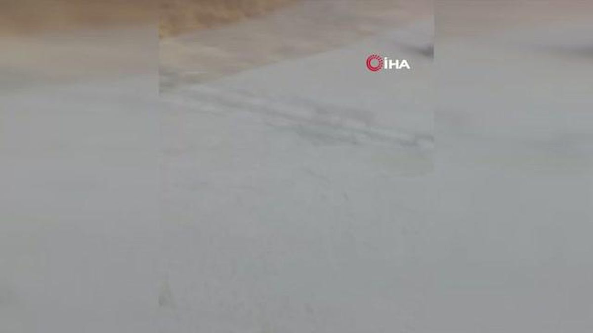 Kontrolden çıkarak devrilen araç alev alev yandı