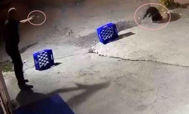 Ağaca bağlı köpeğe kurşun yağdırıldı, saldırı anı kamerada