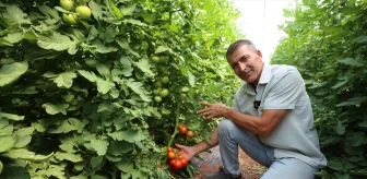 Aksaray'da tarımsal destek ve hibe projelerinden yararlanan sebze üreticisi üretimini 100 tona çıkardı