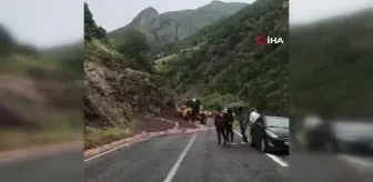 Artvin'de şiddetli yağışlar heyelan ve su baskınlarına neden oldu