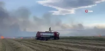 Burdur'da elektrik tellerinden çıkan yangında 800 dekar ekili alan kül oldu