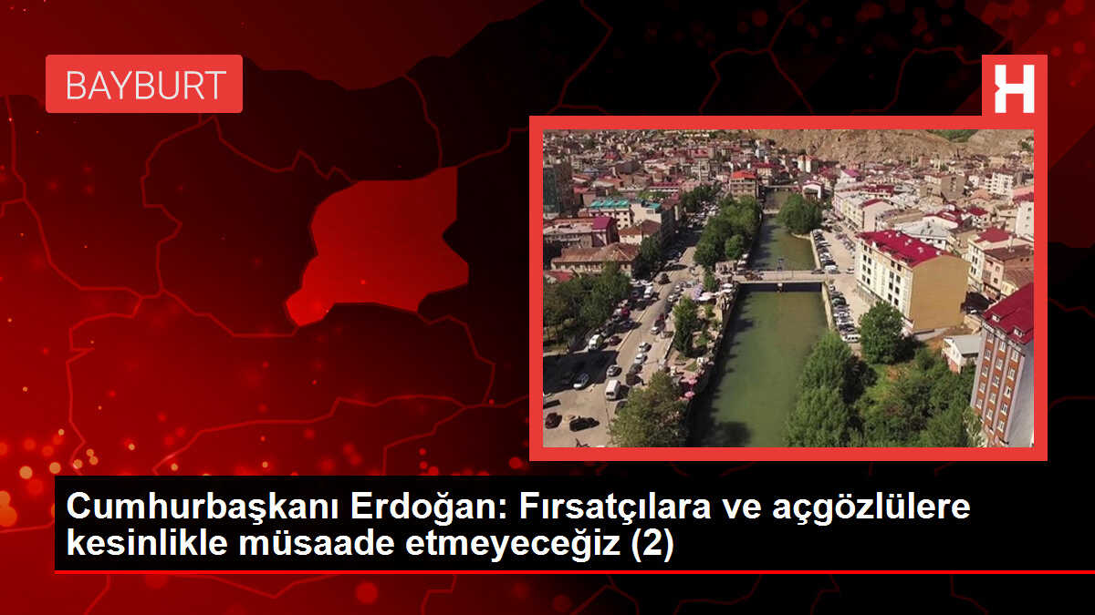 Cumhurbaşkanı Erdoğan: Fırsatçılara ve açgözlülere kesinlikle müsaade etmeyeceğiz (2)