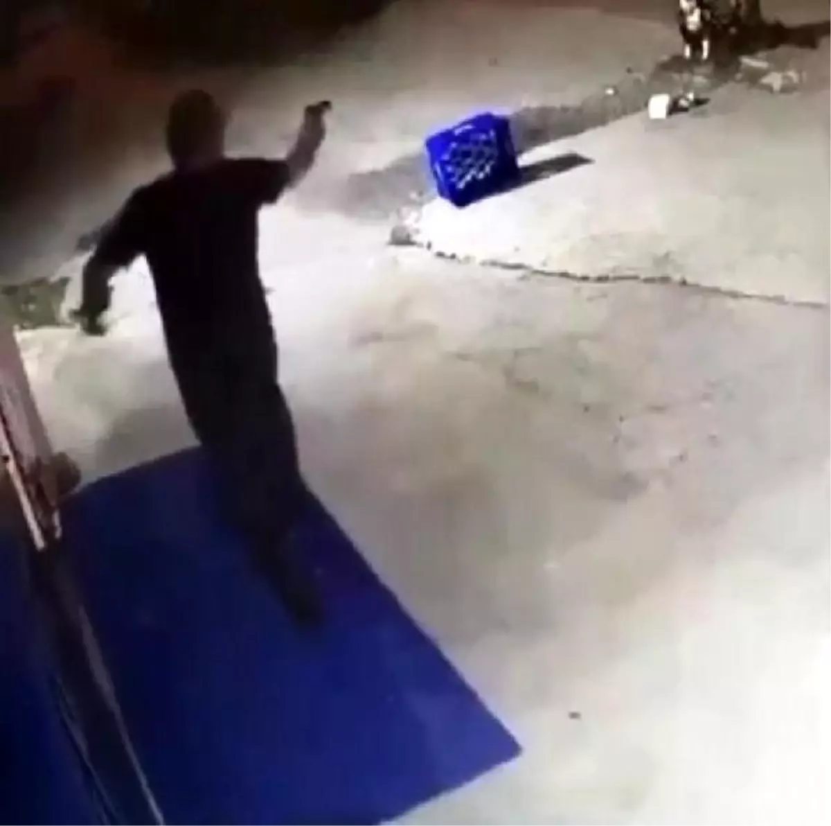 Eğlence Merkezinin Bahçesinde Bağlı Köpek 14 Kurşunla Öldürüldü