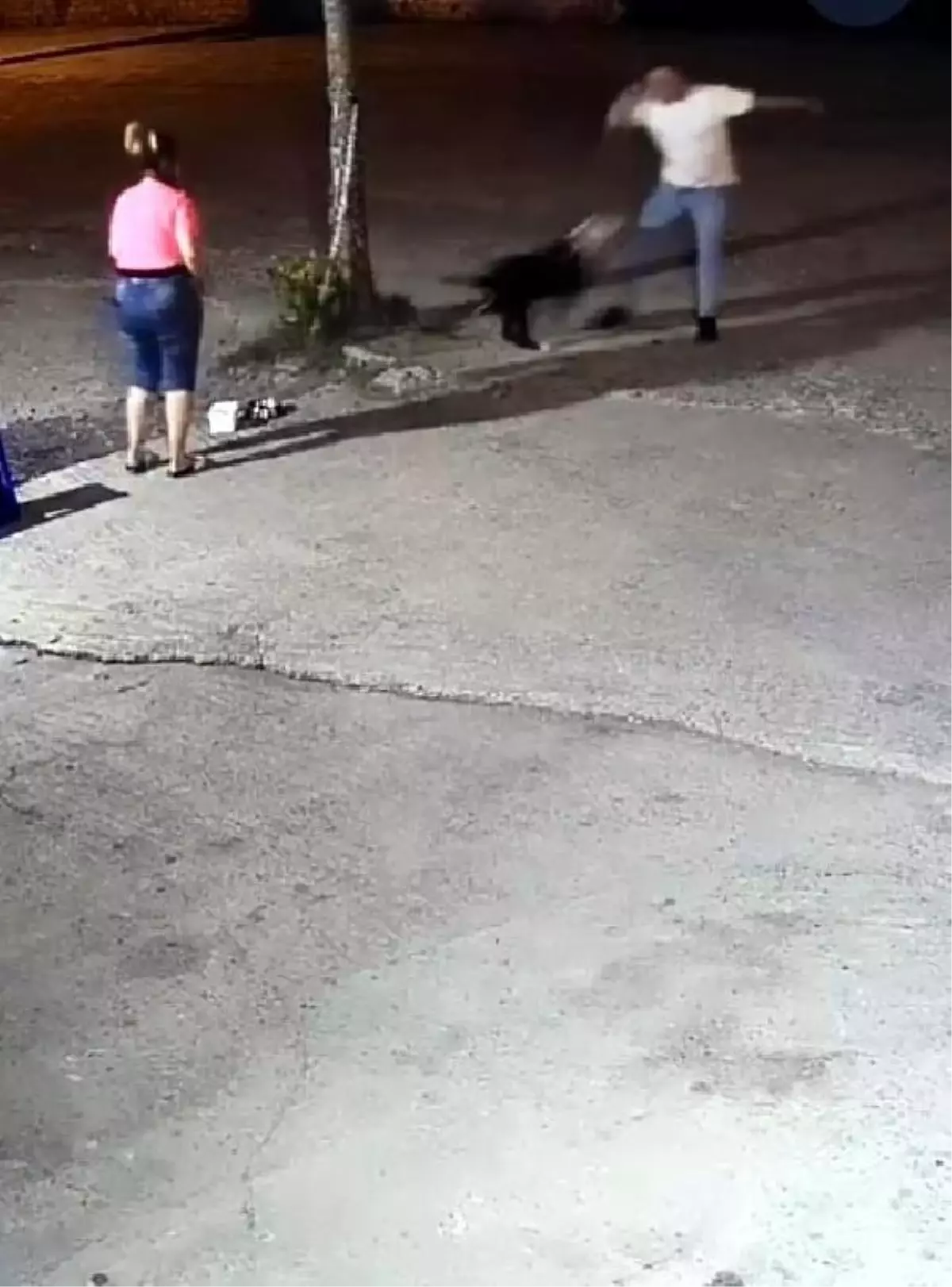 Köpek Saldırısı Sonucu Vurulan Hayvan