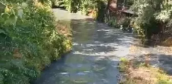 Eyüpsultan'daki Pirinççi Deresi Kirletiliyor