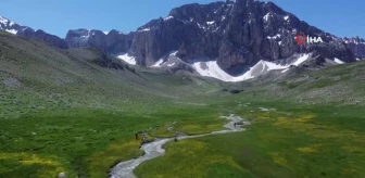 İsviçre Alperi değil, Munzur Dağı'ndaki Merg Yaylası