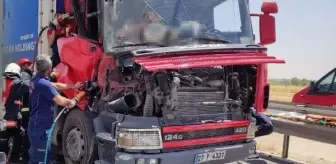 Nusaybin'de 2 TIR çarpıştı: 2 yaralı