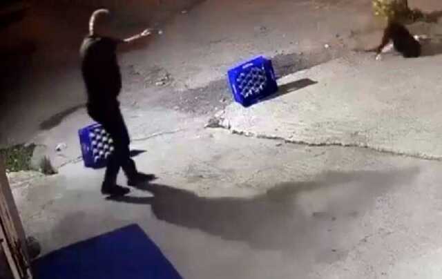 Sakarya'da köpeği öldüren şüpheli ve köpeğin sahibi tutuklandı